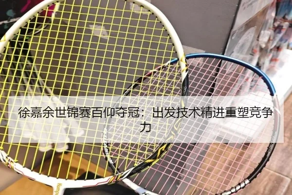 xu-jia-yu-shi-jin-sai-bai-yang-duo-guan-chu-fa-ji-shu-jing-jin-zhong-su-jing-zheng-li-2-704.jpg